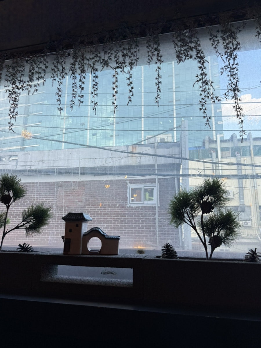 솔닢 사진 5