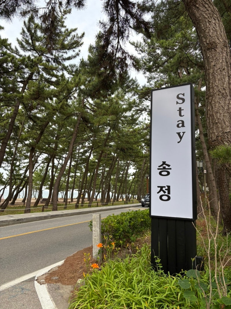강릉 송정해변 근처 국군콘도 구)송정콘도 리모델링 후 “STAY송정” 후기