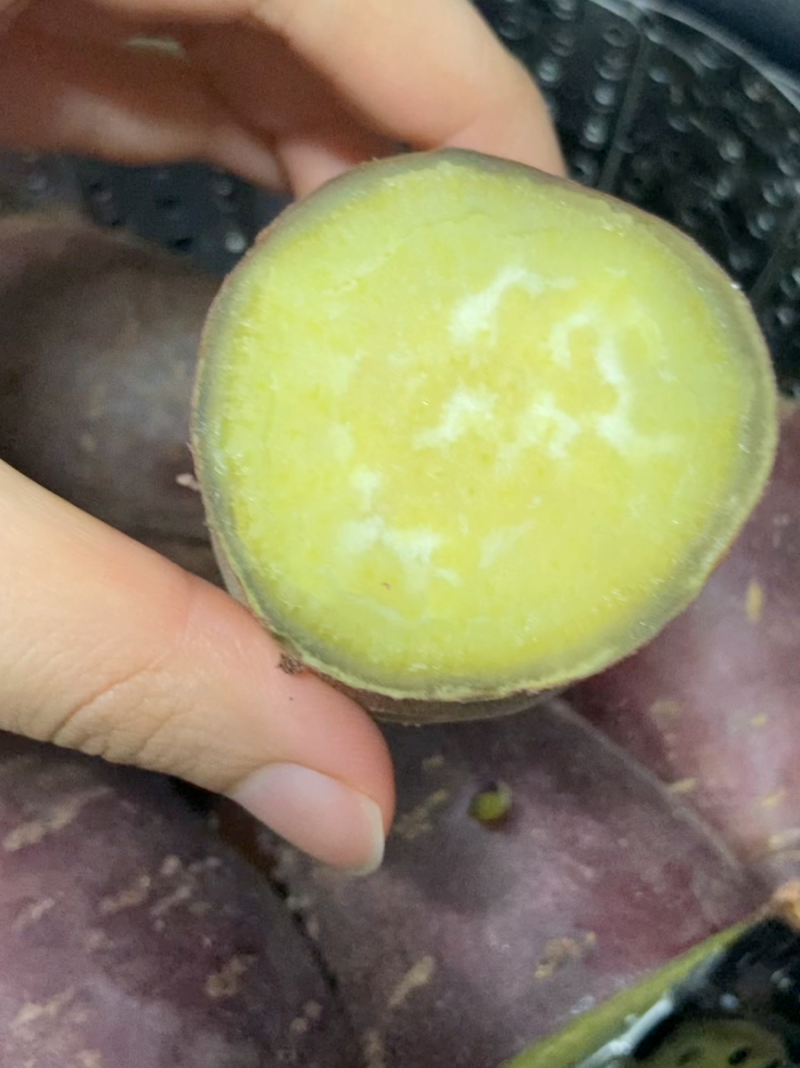 고구마 밥솥으로 맛있게 찌는 법 20분 만에 완성
