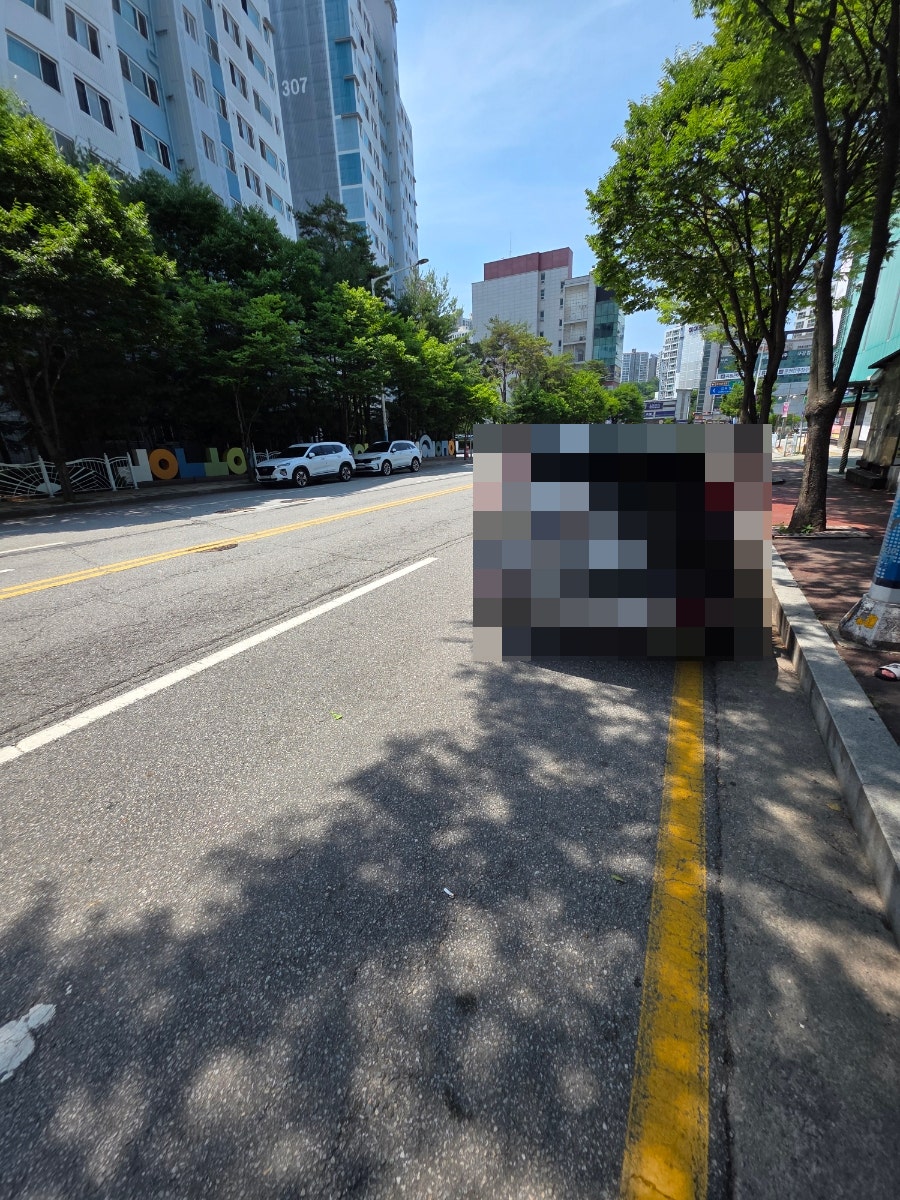 미각 사진 4