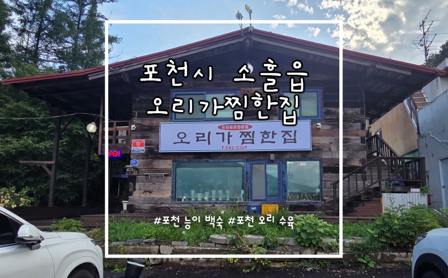 오리가 사진 1