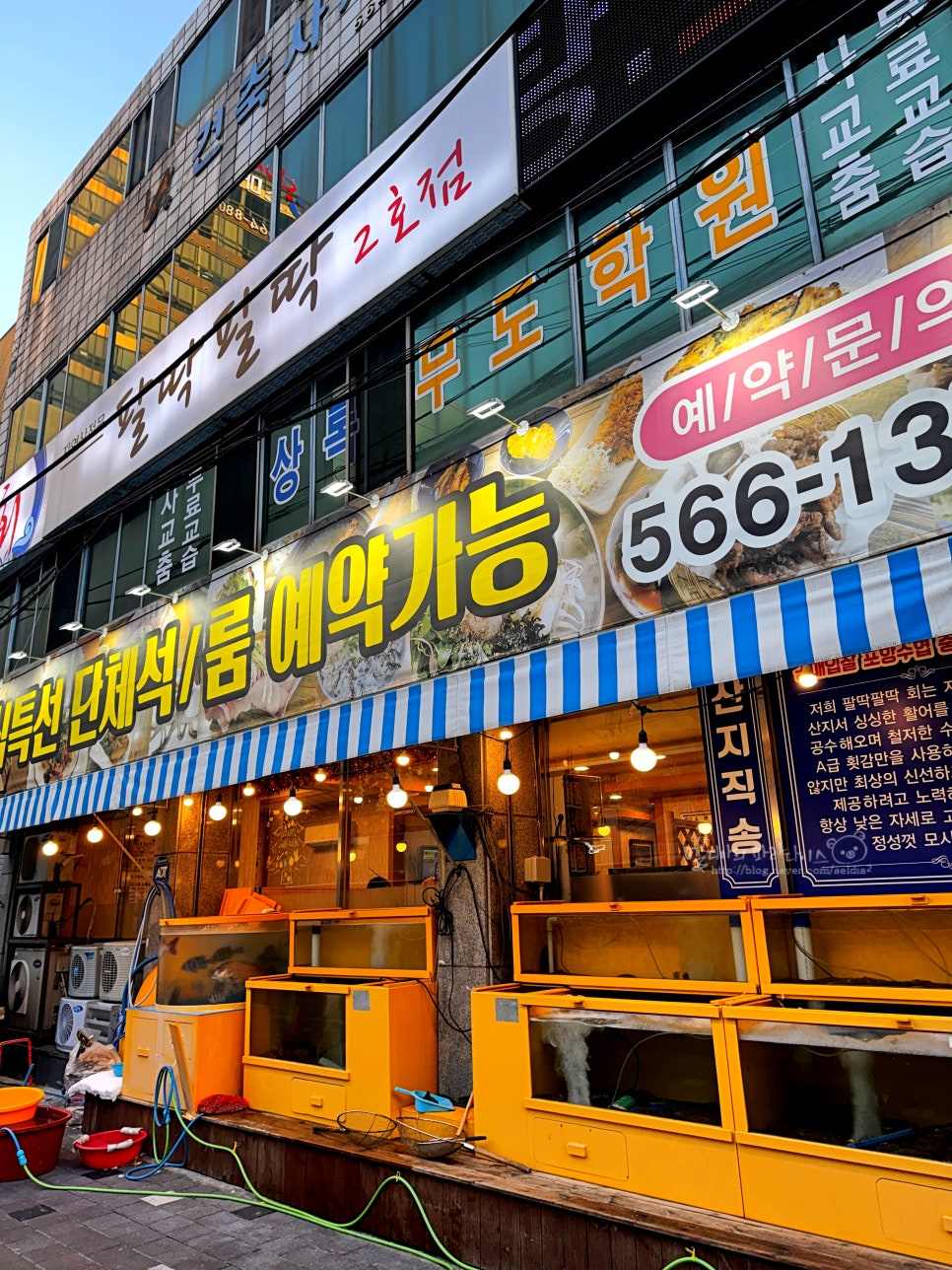 팔딱팔딱 1호점 사진 2