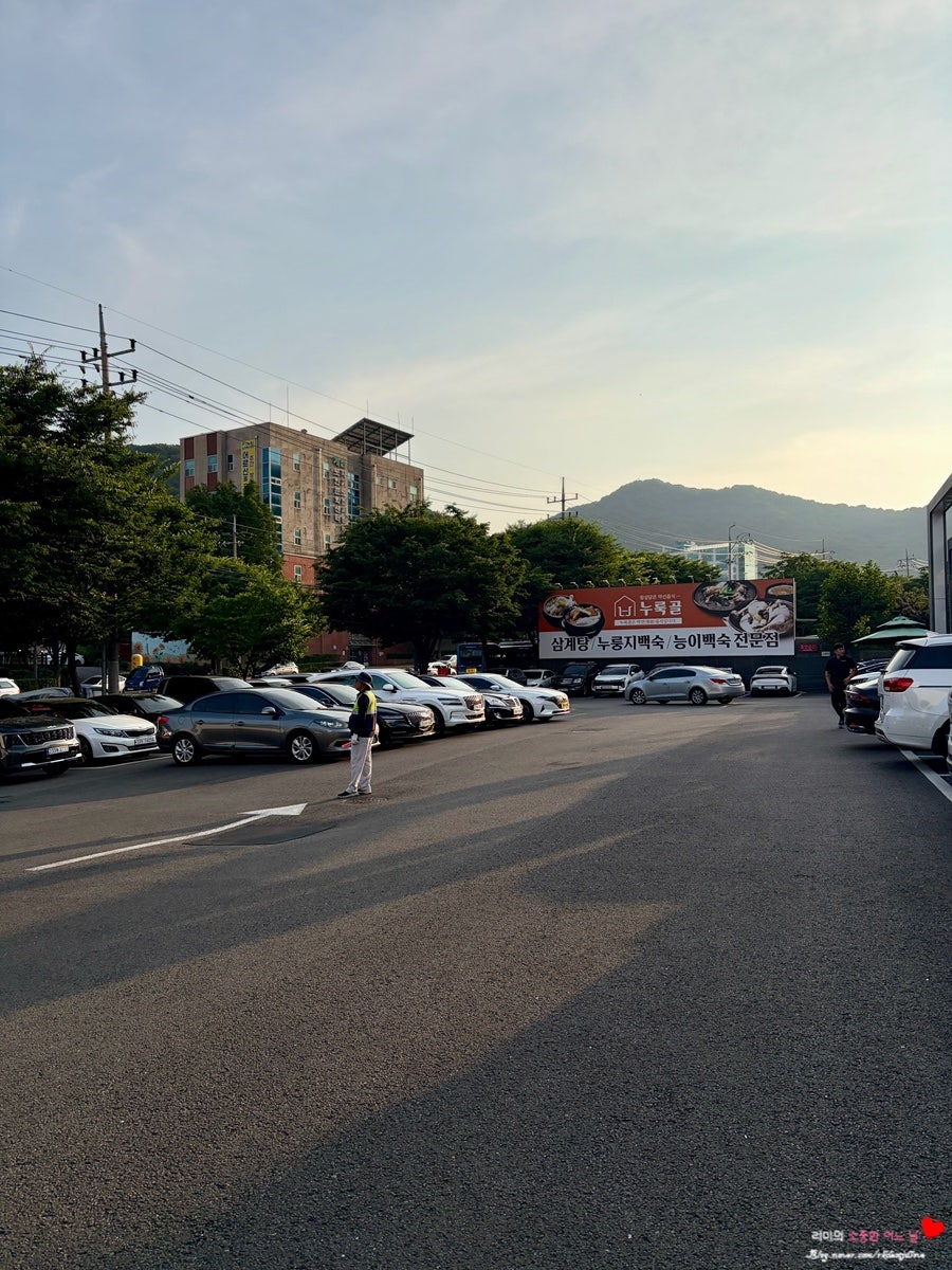 약선삼계탕 사진 2