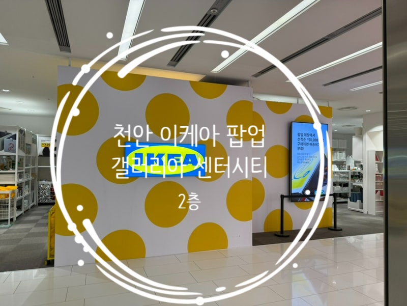 천안 갤러리아 이케아 팝업 구경 후기! 쇼핑하기 좋은 2층 핫플