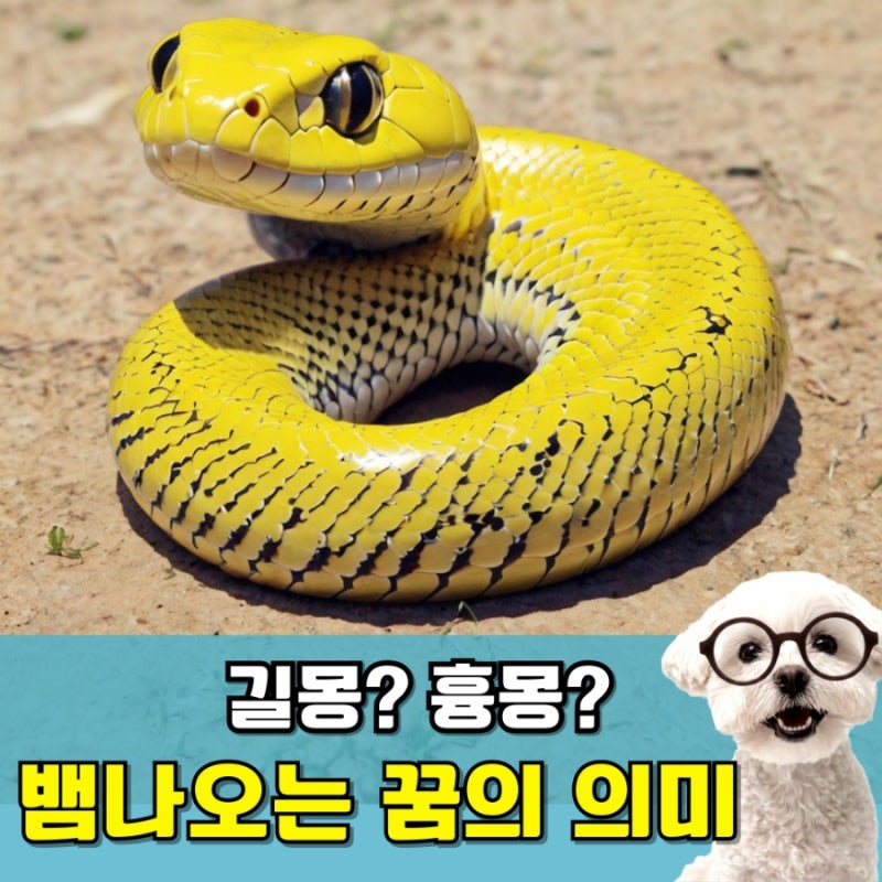 뱀 나오는 꿈 과연 길몽일까? 흉몽일까? 상황별 의미 완벽 정리
