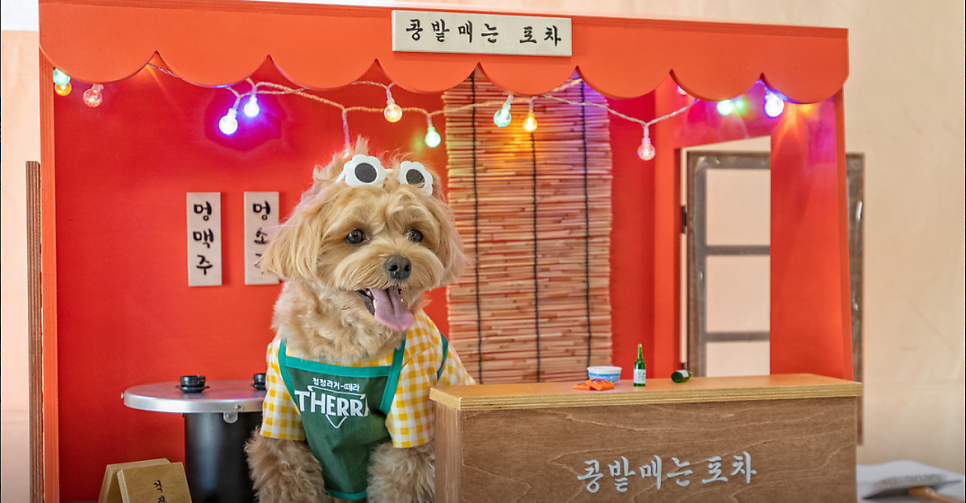콩밭매는 댕댕이 사진 1