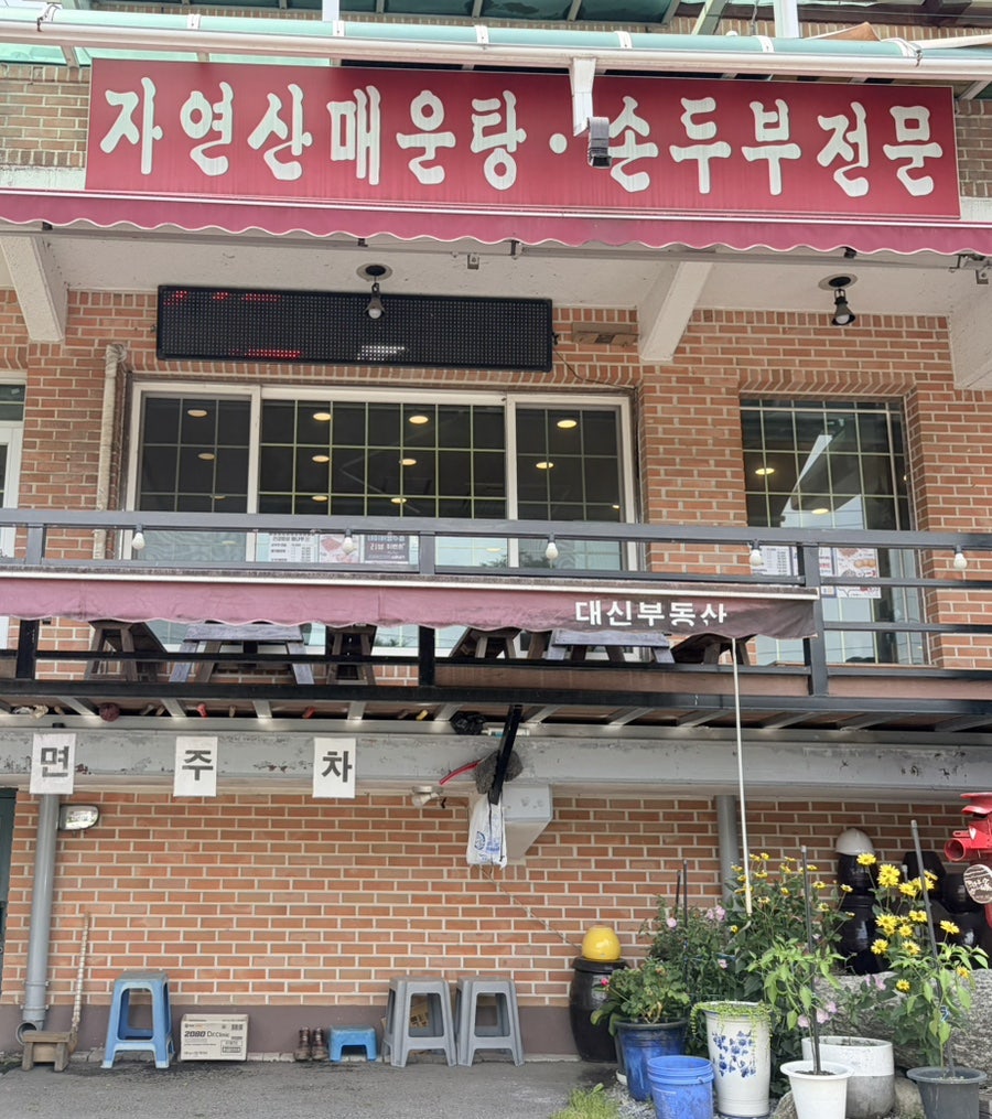 등나무가 사진 1