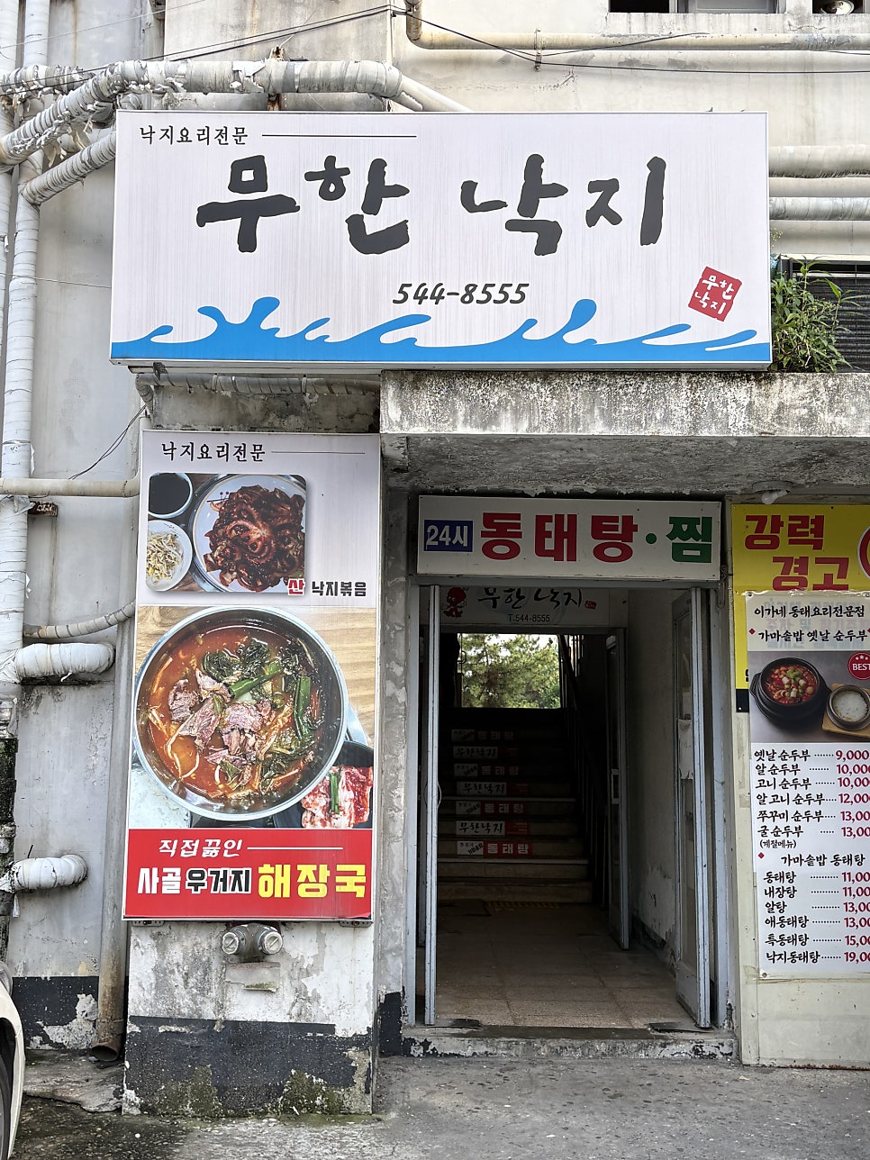 무한낙지 사진 4