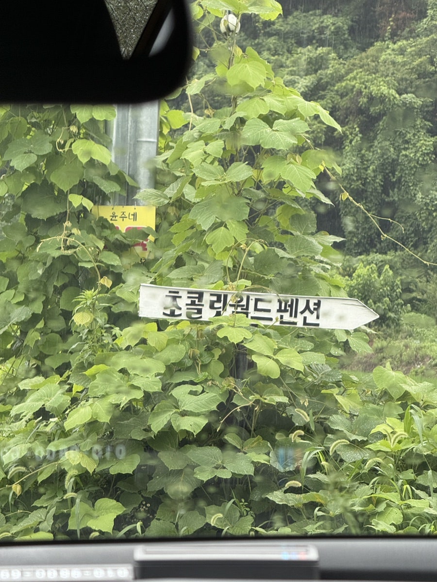 강촌 초콜릿월드 펜션 사진 2