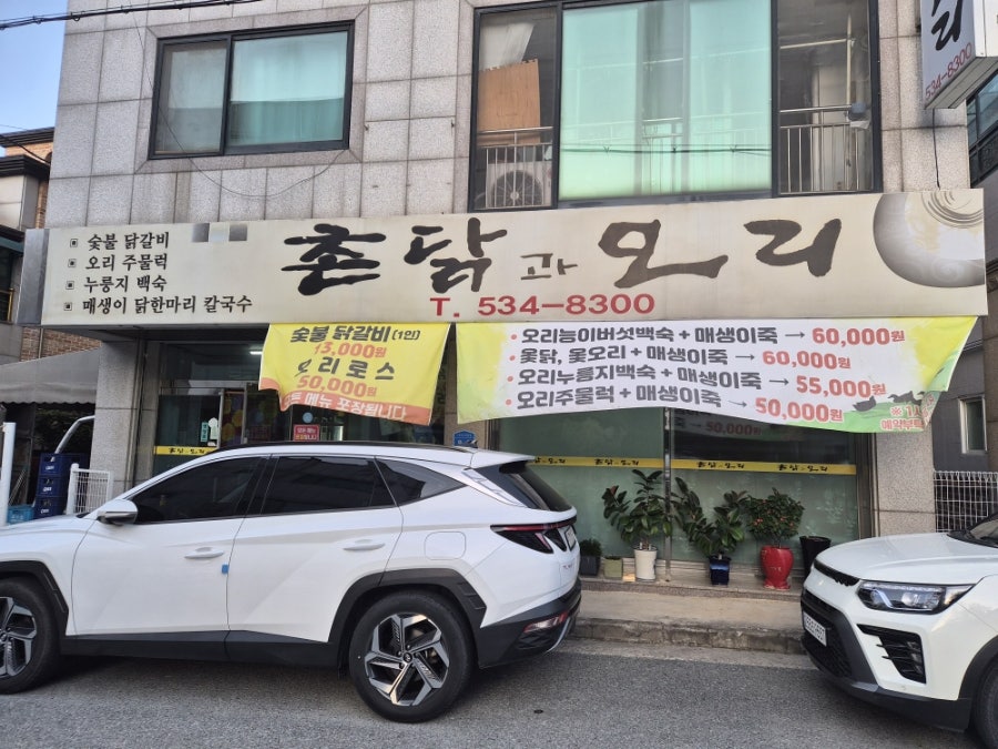 촌닭과오리 사진 1