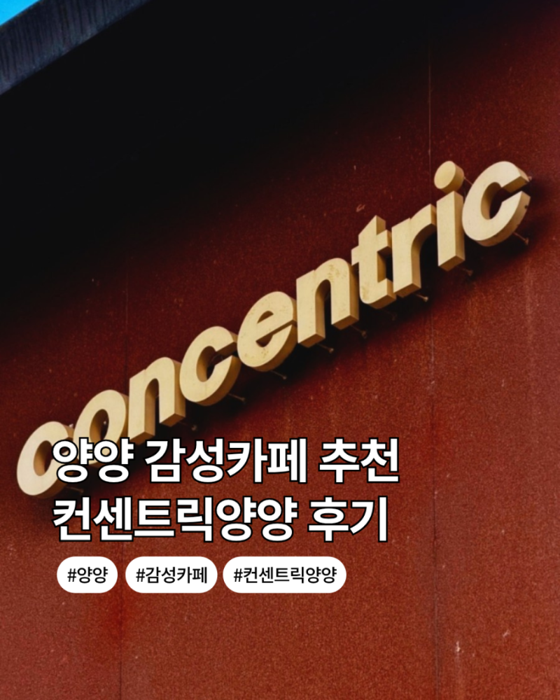 양양 카페 컨센트릭양양 후기 | 낙산사 근처 감성카페 추천