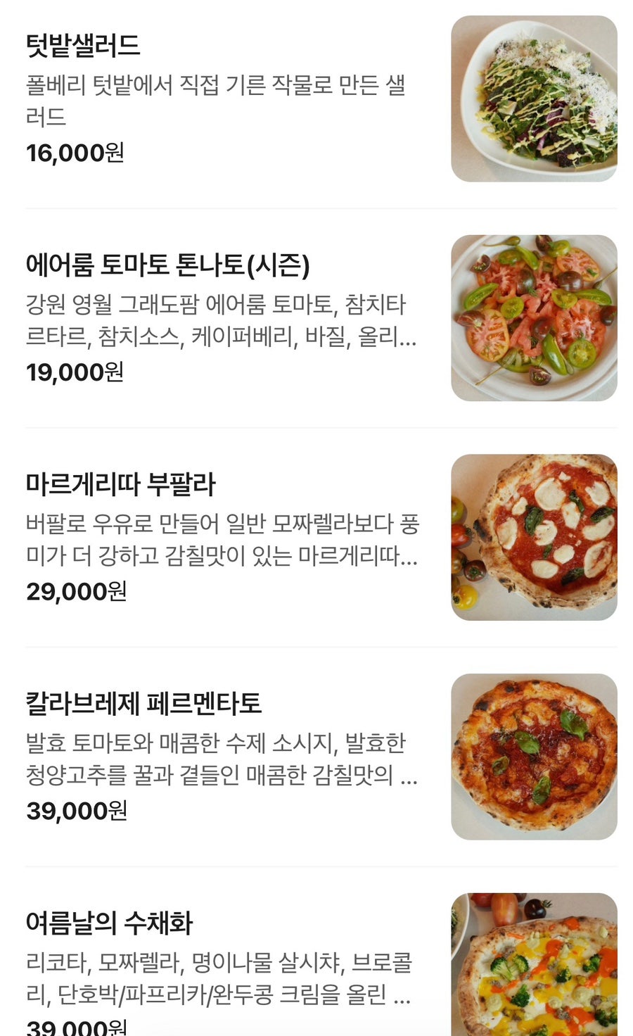 테라토리아폴베리 사진 3