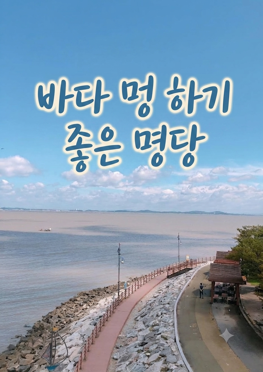 베리 사진 2