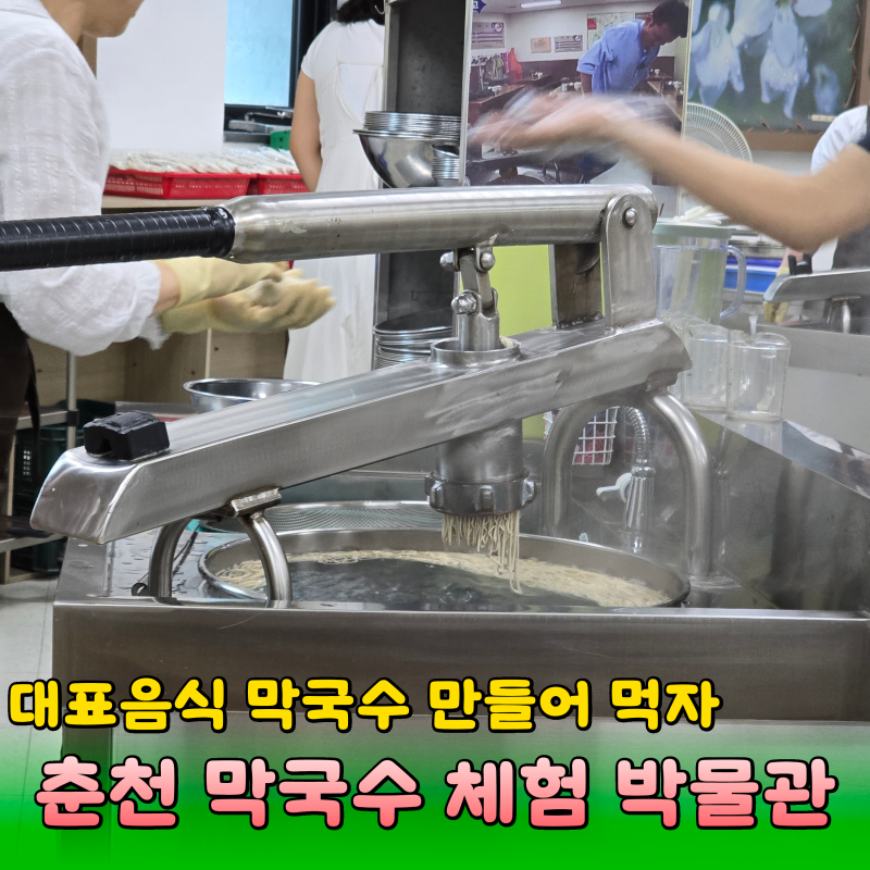 춘천막국수체험박물관 대표음식 막국수 직접 만들어먹어요