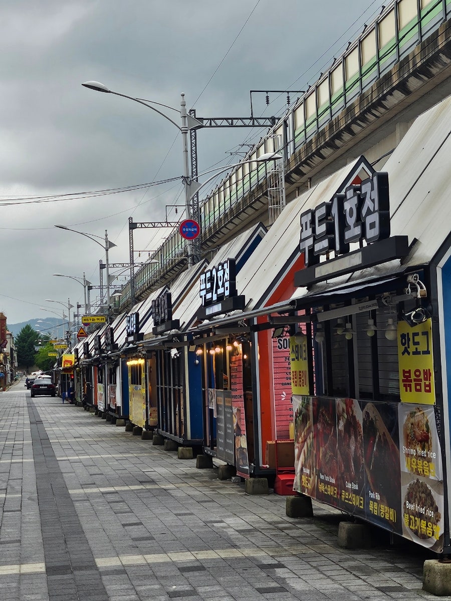 젠피크닉 사진 4