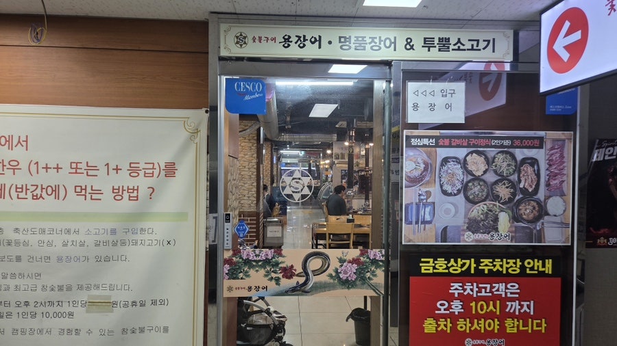 용장어 사진 2