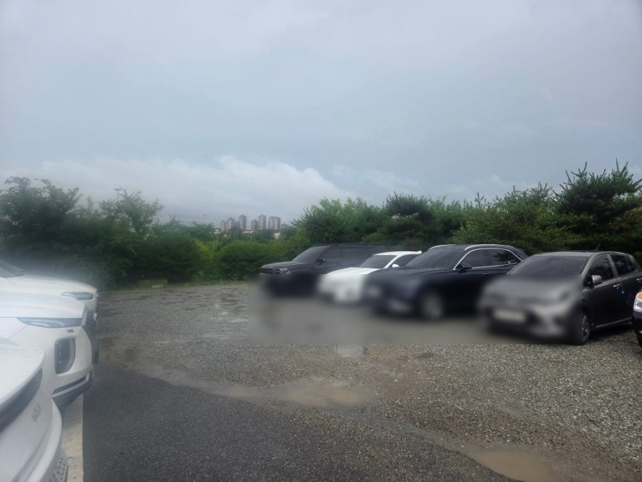 한국수 부산가야밀면 의왕본점 사진 2