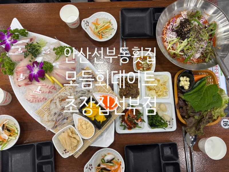 안산 선부동 횟집 모듬회 데이트 초장집선부점 방문 후기