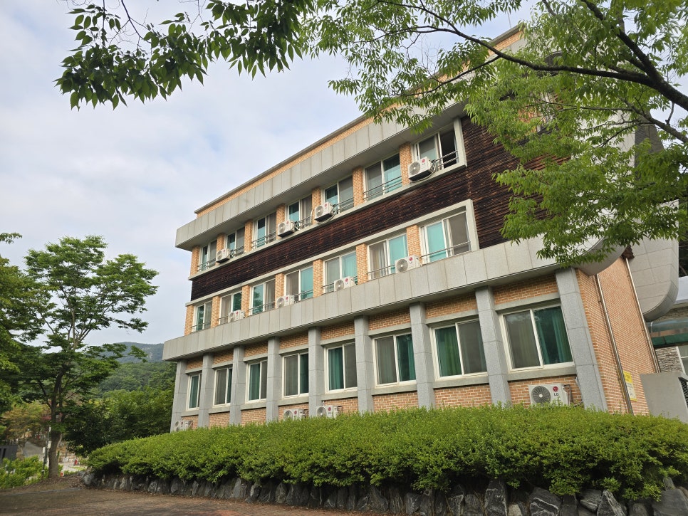 선운산유스호스텔 사진 5