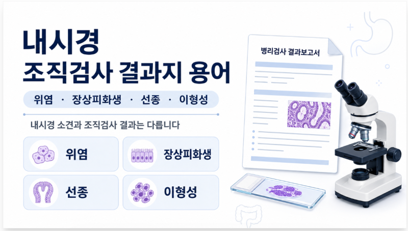 내시경 조직검사 결과지 용어 정리 | 위염·장상피화생·선종·이형성 쉽게 보기