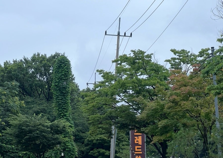 브레드쏭 팔당미사강변점 사진 3