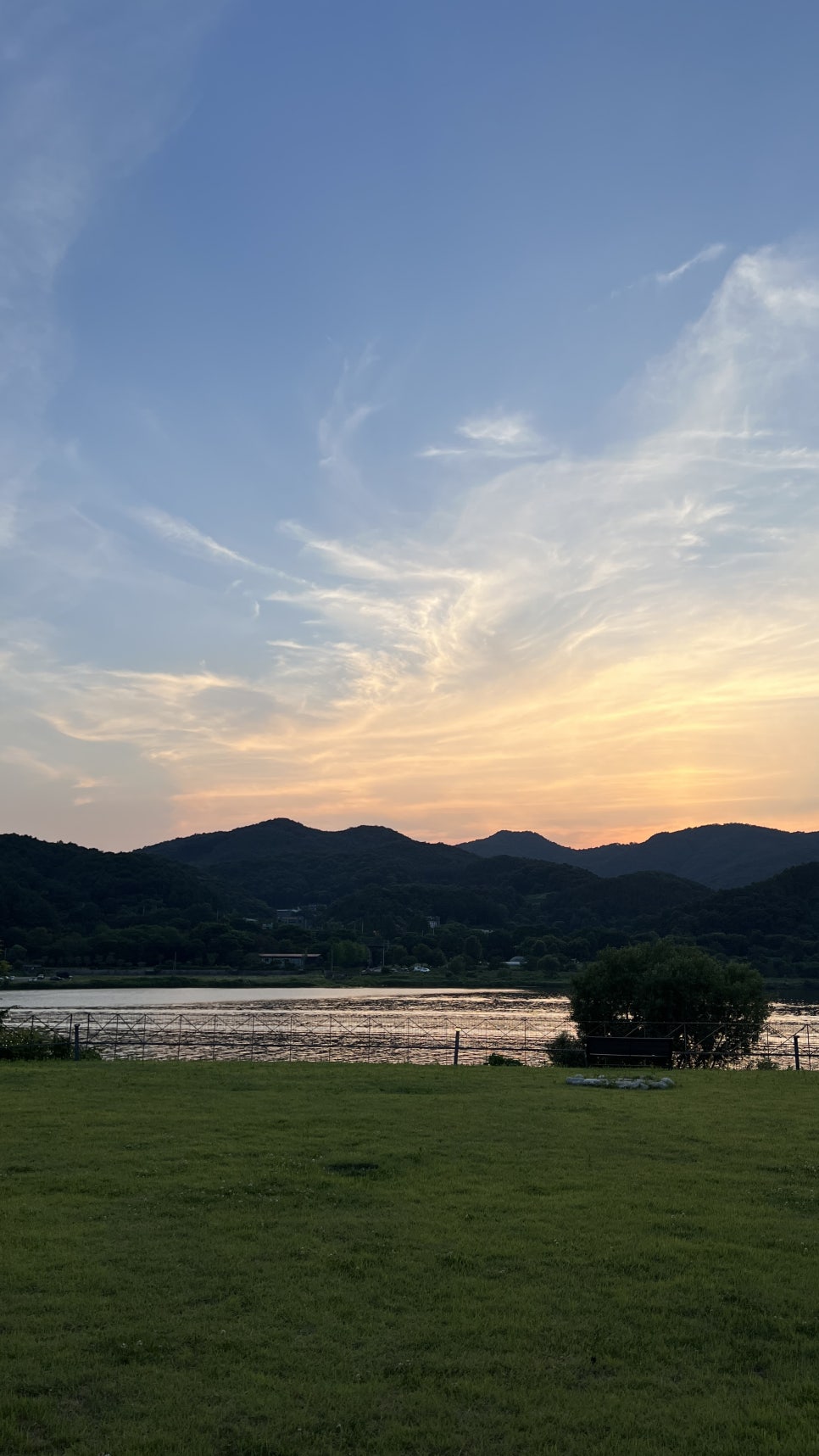 아모르 사진 3