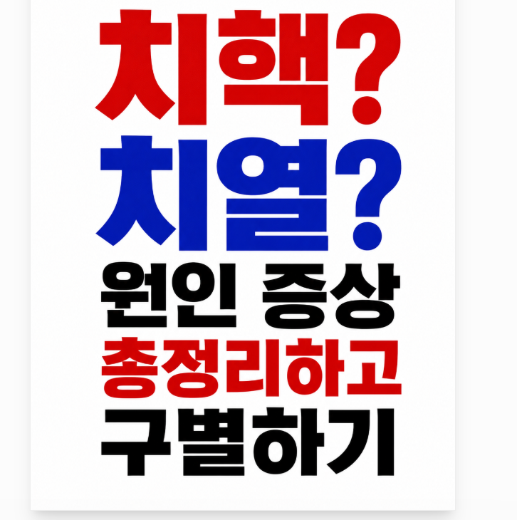 치핵 vs 치열 배변 시 항문 통증과 출혈 혈변 원인 증상 총정리하고 구별하기