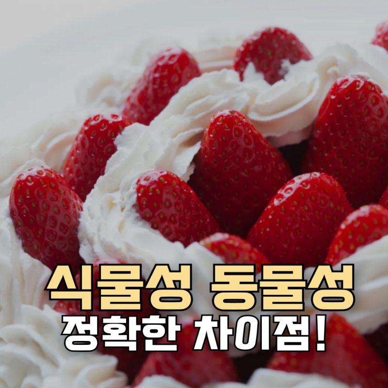 동물성 식물성 생크림 차이점 대체 뭘까? 쉽게 구분하는 방법