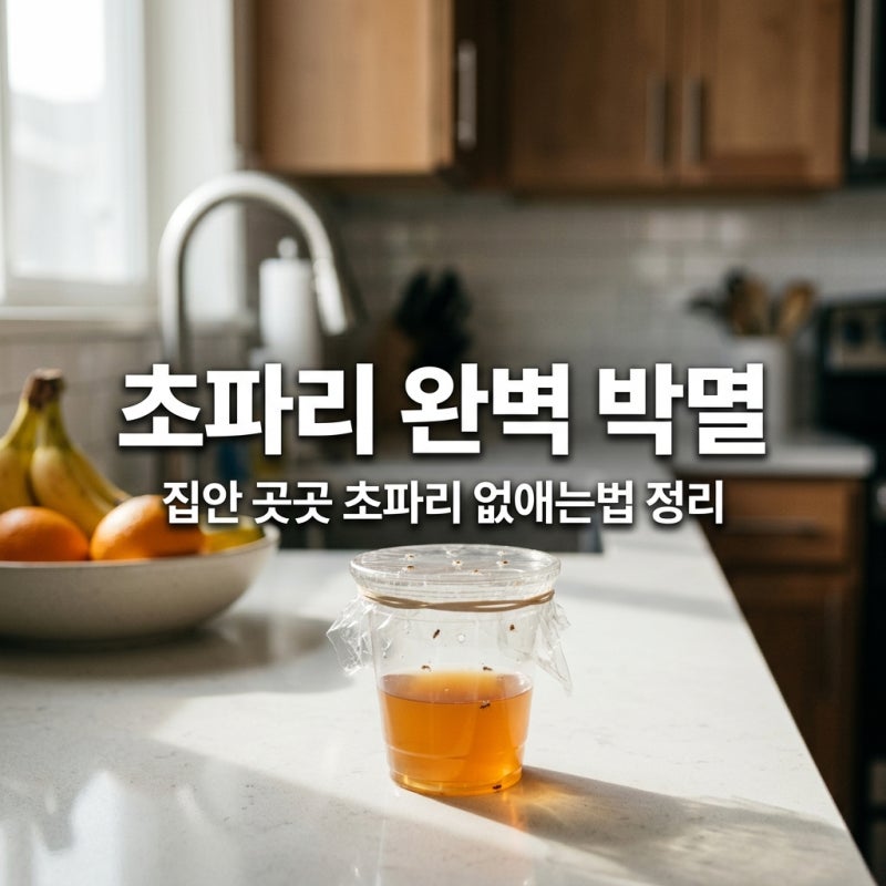 집안 곳곳 초파리 없애는법 완벽 정리