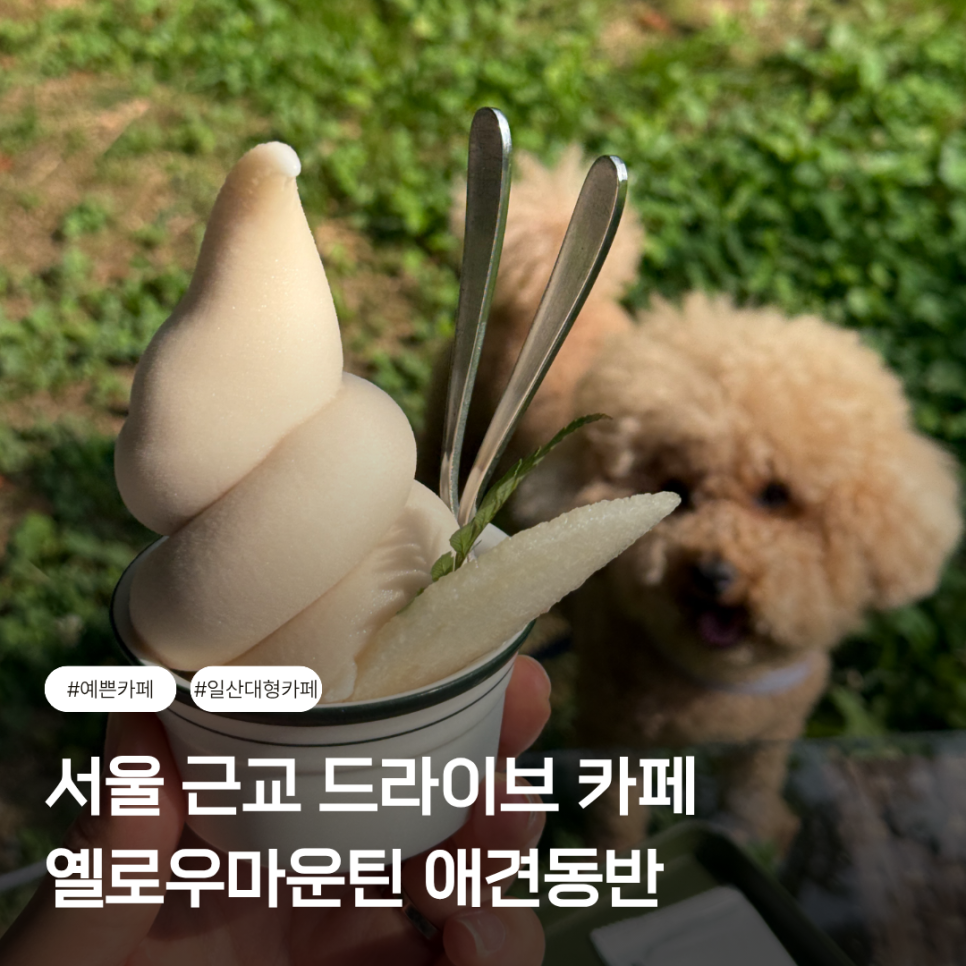 옐로우마운틴 사진 1