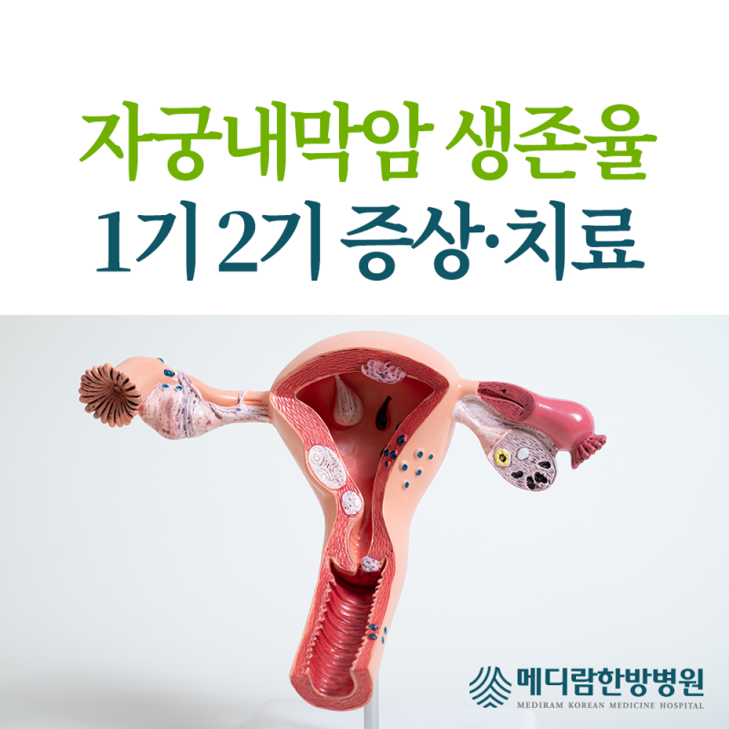 자궁내막암 생존율, 1기 2기 증상과 치료 방법