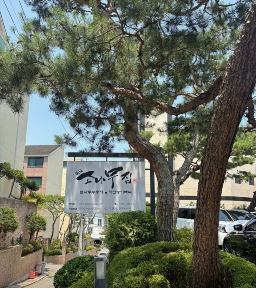 소나무집 사진 1
