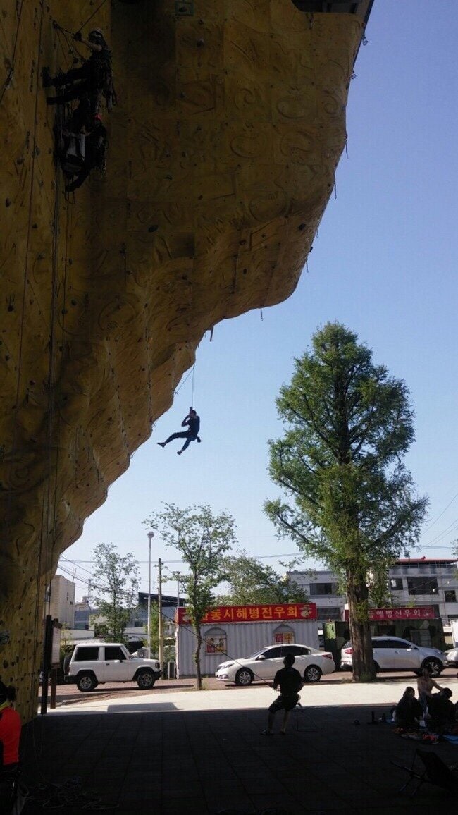 철인3종경기 입문기