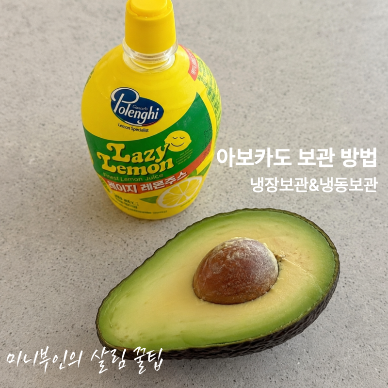 후숙 후 자른 아보카도 냉장&냉동 보관방법 및 기간