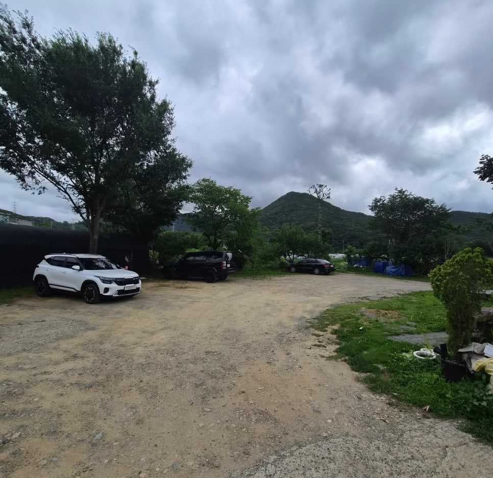 아홉산구지뽕상계탕 사진 3