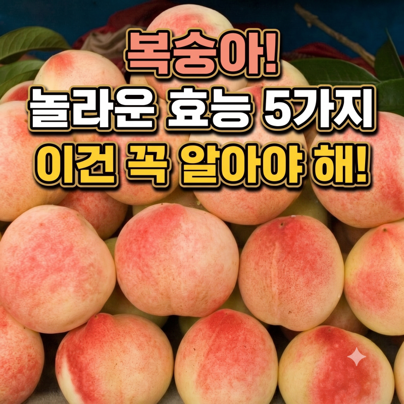 복숭아 효능 부작용 알고 드시나요? 백도 황도 천도 신비복숭아 보관법 대방출