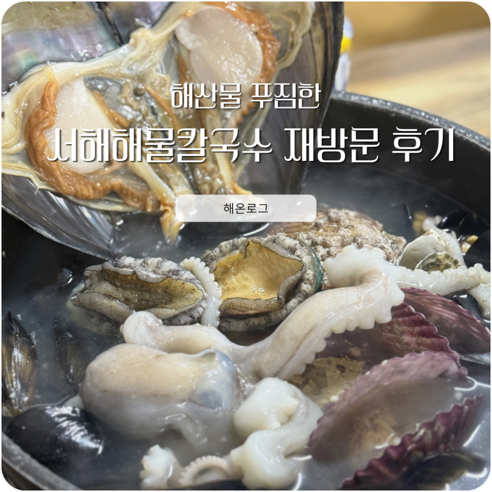서해해물칼국수 사진 1