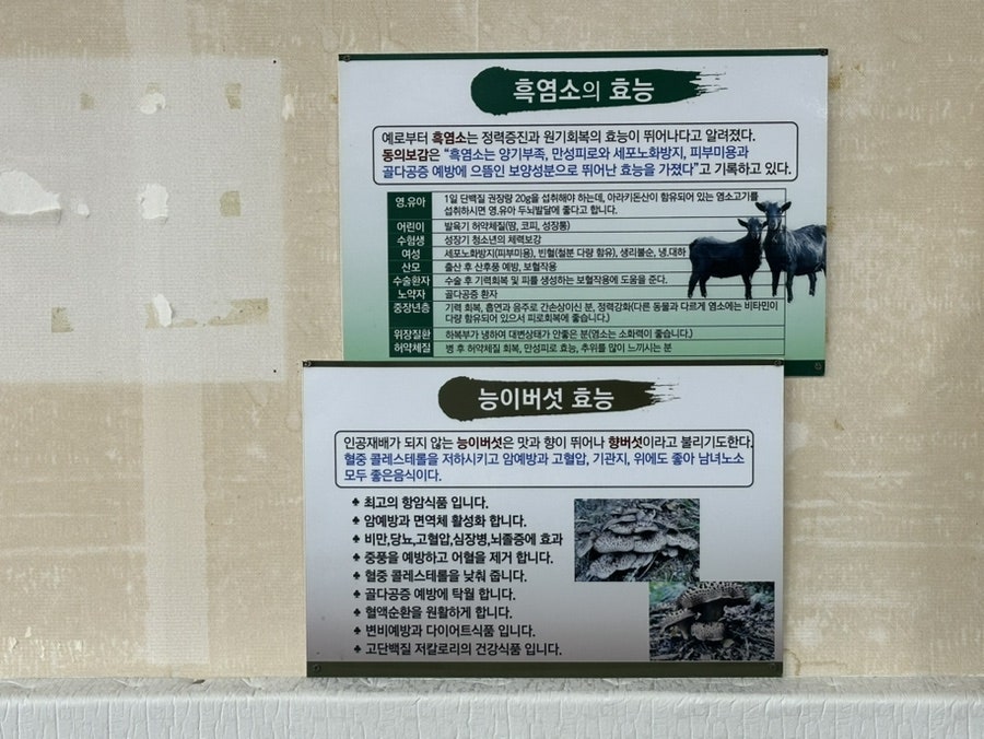 배밭농원 사진 6