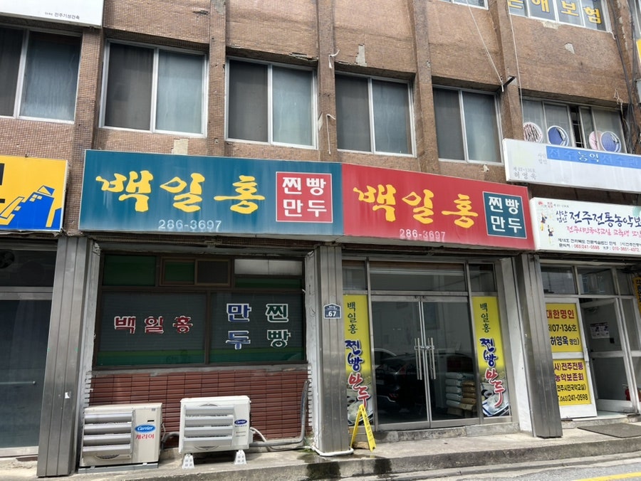 백일홍 사진 2