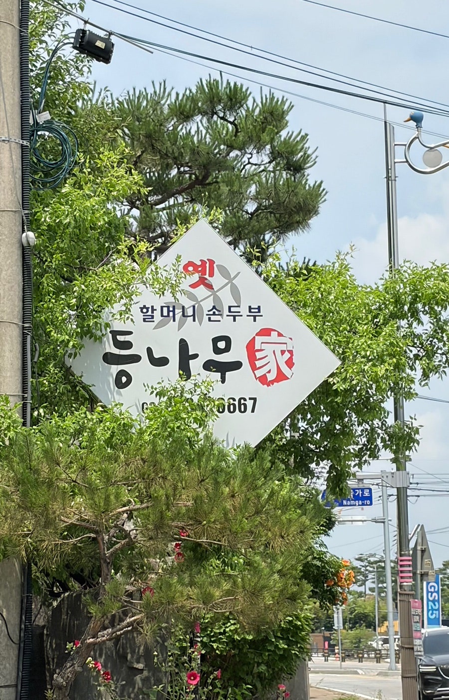 등나무가 사진 2