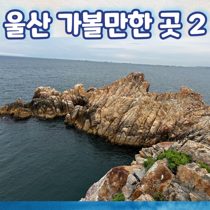 蔚山之旅2：蔚山必訪景點長生浦鯨魚文化村與大王岩吊橋