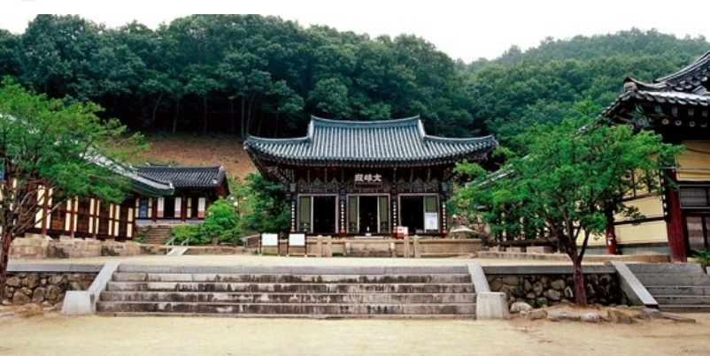 한방삼계탕 사진 5