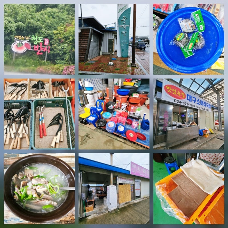 [대구 근교 당일치기 여행1]경북 오일장 청도방문기