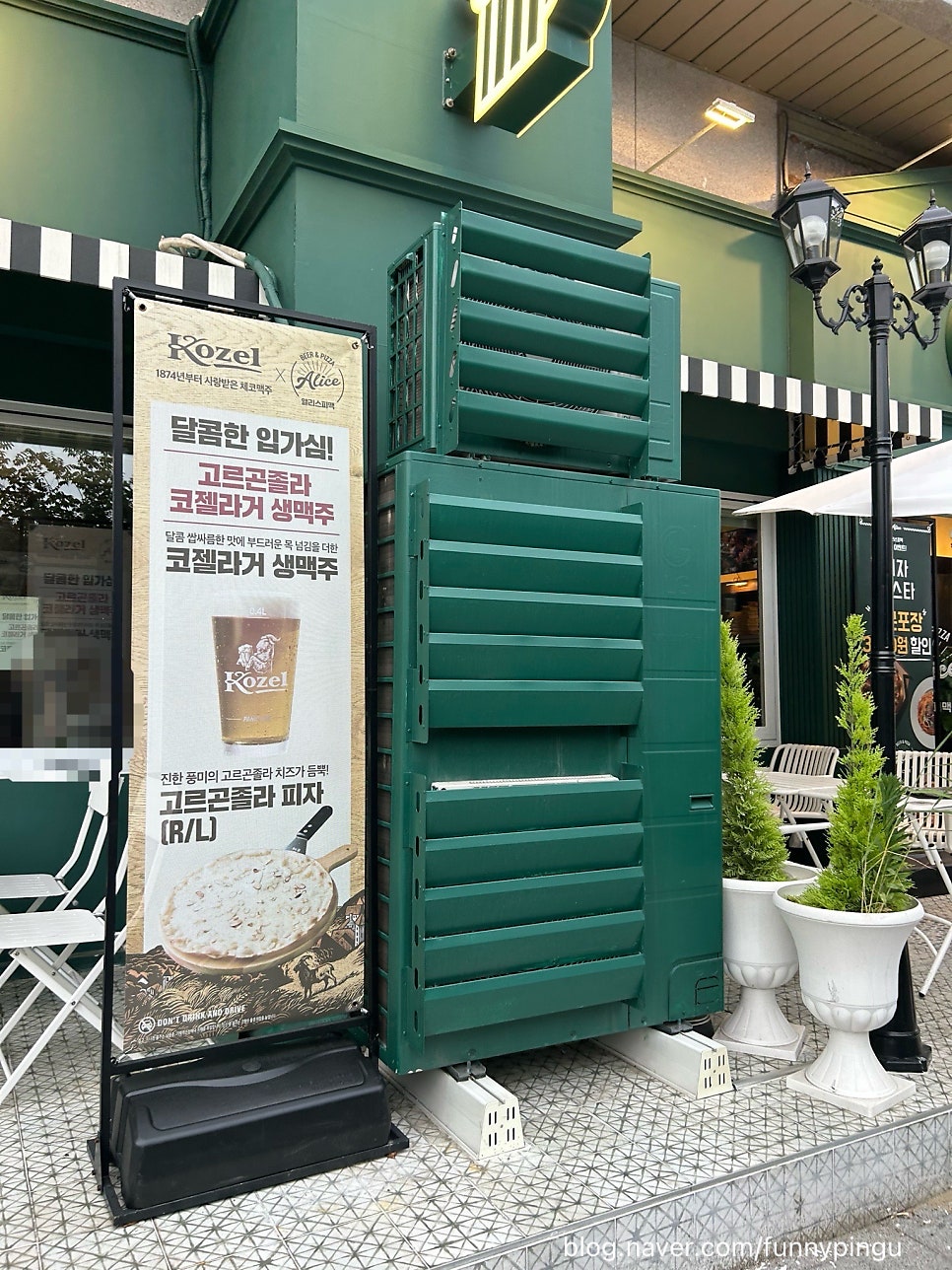 앨리스피맥 사진 3