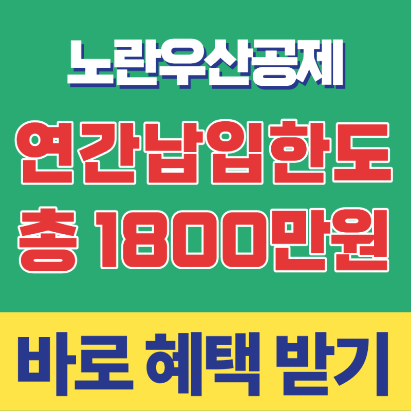 노란우산공제 연간 납입한도 확대(1800만원), 소득구간별 절세 전략