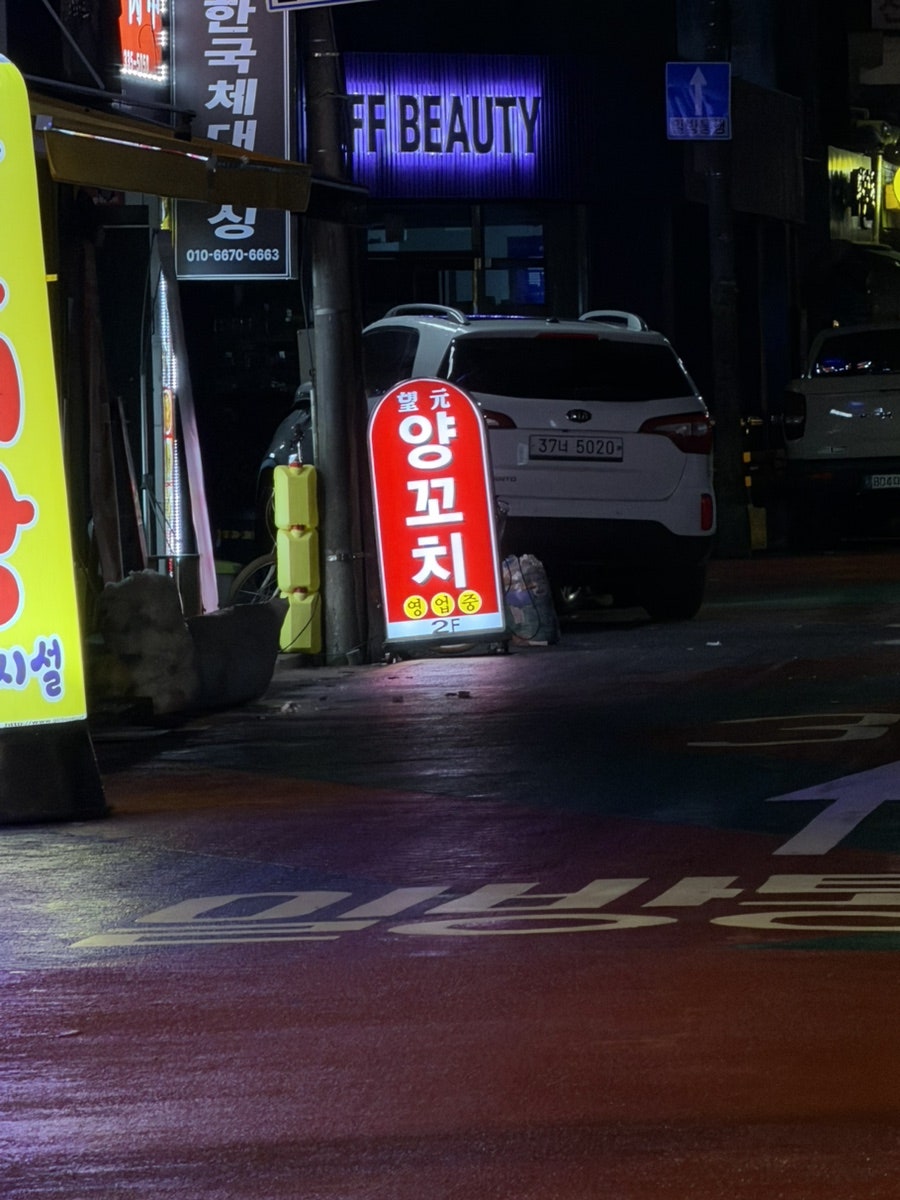 망원양꼬치 사진 2