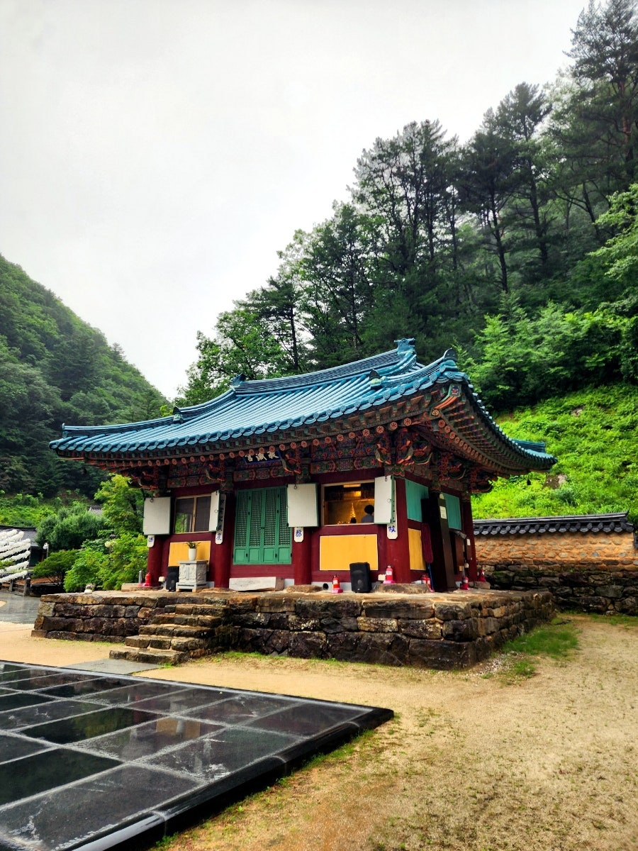 궁 사진 2