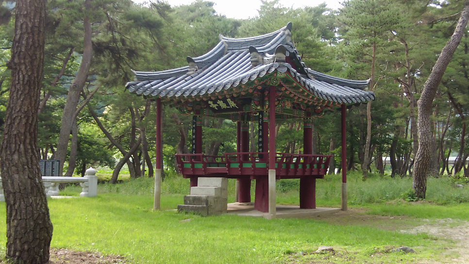 갈계숲 사진 6