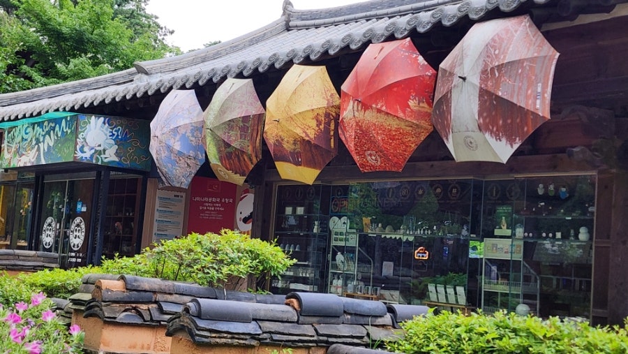 풀잎 사진 4