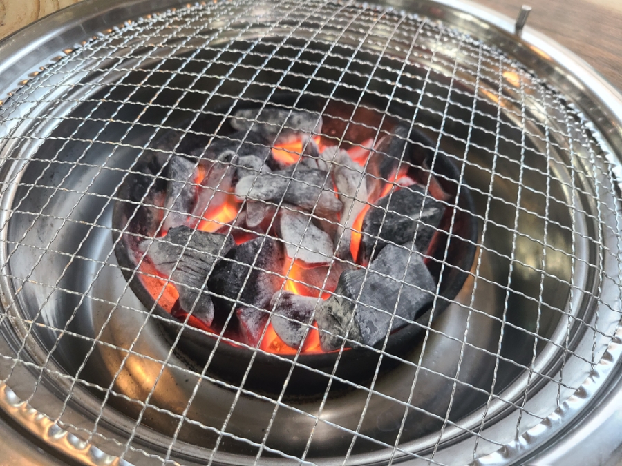 은행나무갈매기 사진 2